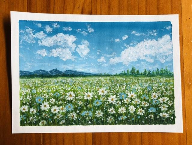 Daisies in the Sunshine - image 1 - student project