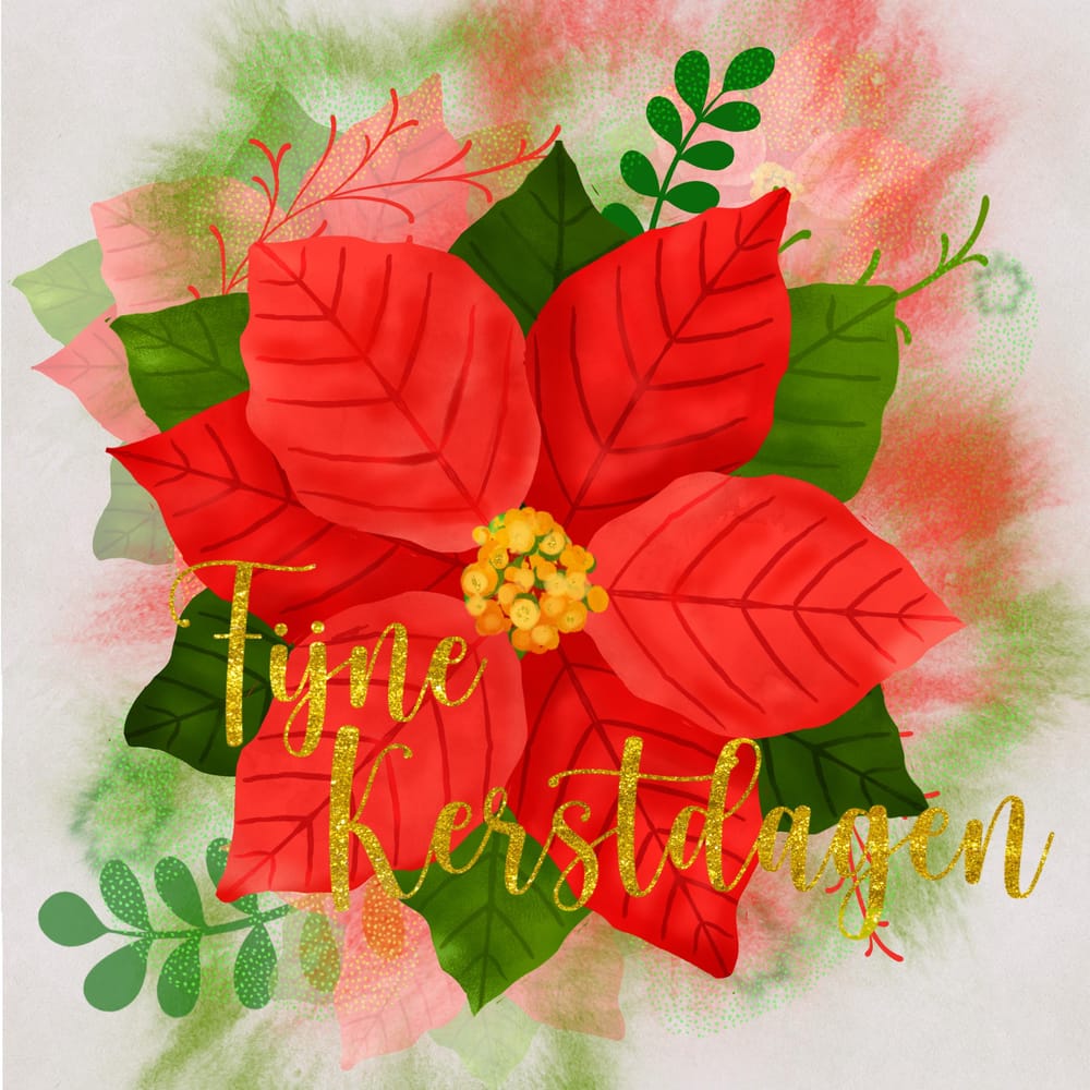 Poinsettia - image 3 - student project