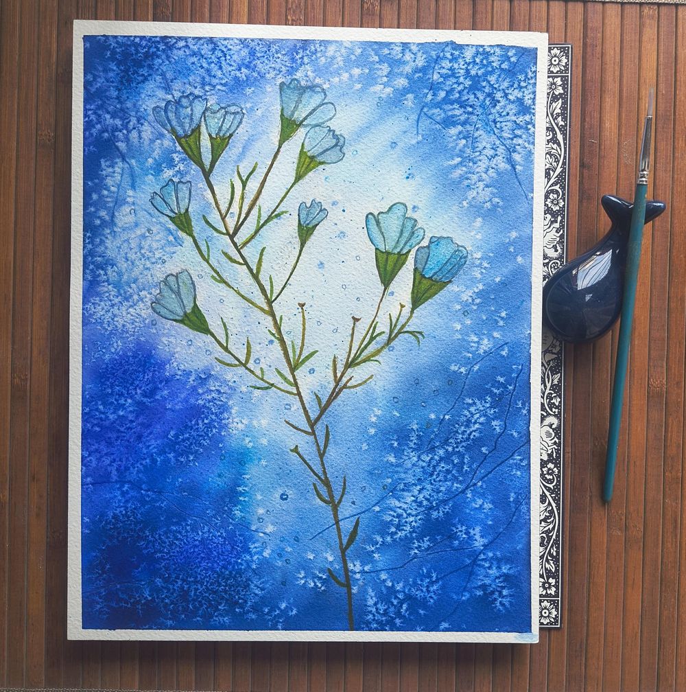Transparency in Watercolour - image 3 - student project