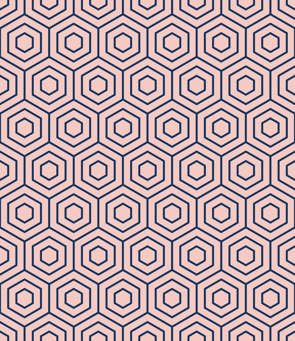 Hexagon Project - image 4 - student project