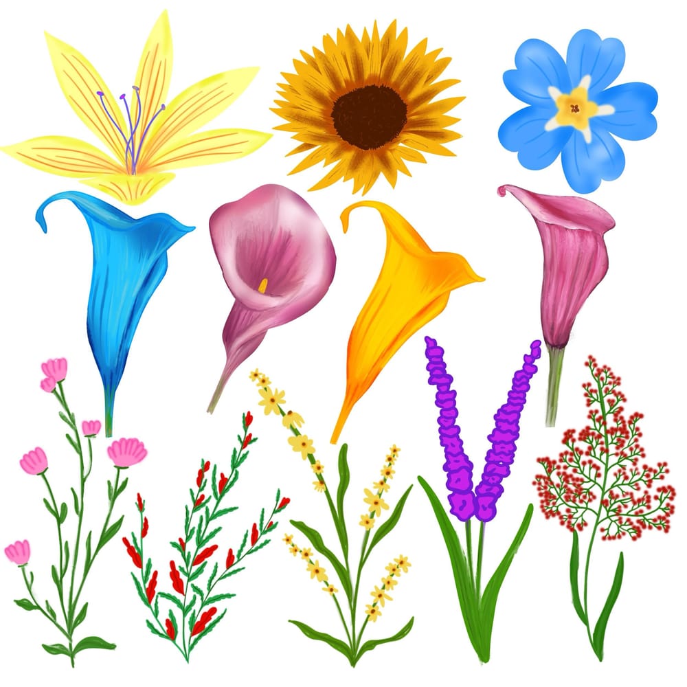 Flowers, leaves and berries in a picture bank - image 2 - student project