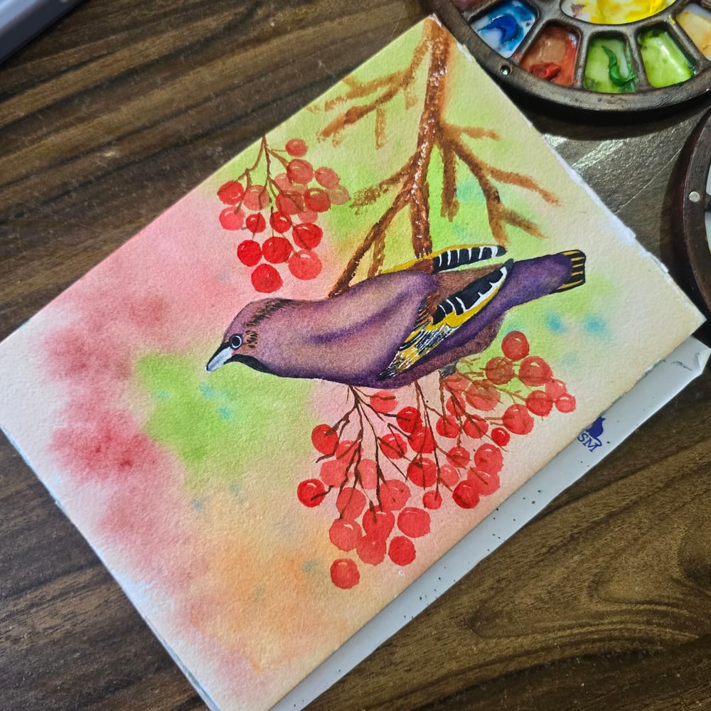 Bohemian waxwing🪽 - image 2 - student project