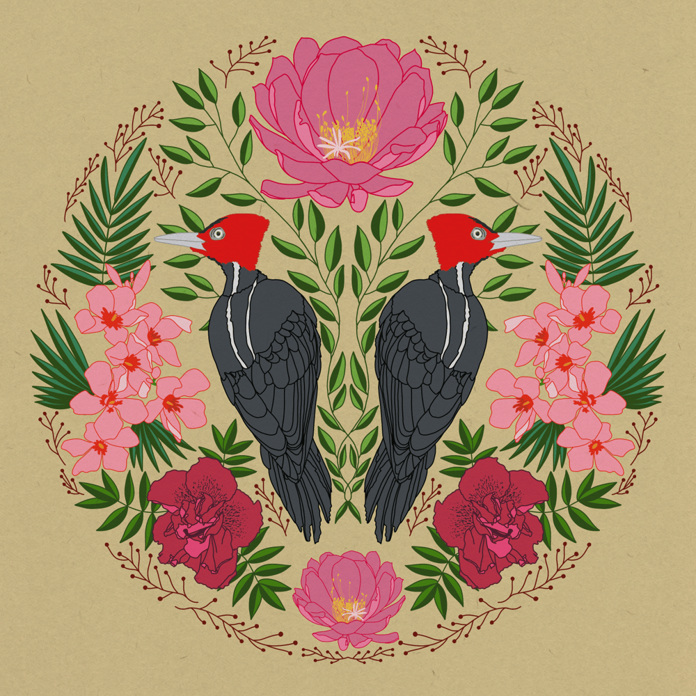 Coffee and Pale Bill Woodpecker Folk Illustrations - image 2 - student project