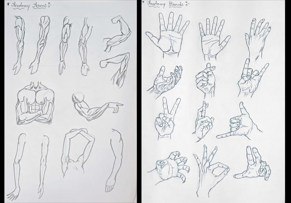 human anatomy - image 9 - student project
