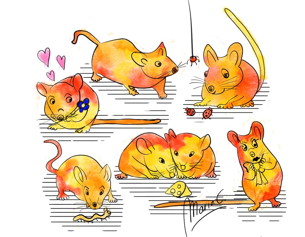Snack cats and mice! - image 1 - student project