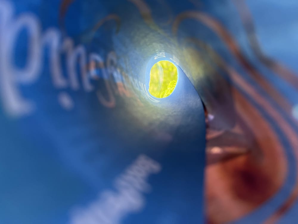 Unlock Your Creativity With Photography and Writing - image 2 - student project
