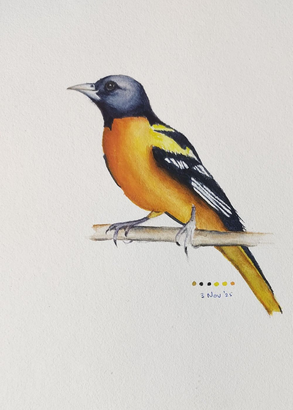 Watercolour Oriole-an exercise in underpainting with Paul Cheney - image 1 - student project