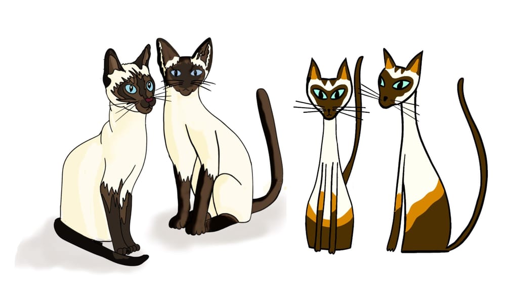 Cats and Mifty - image 5 - student project