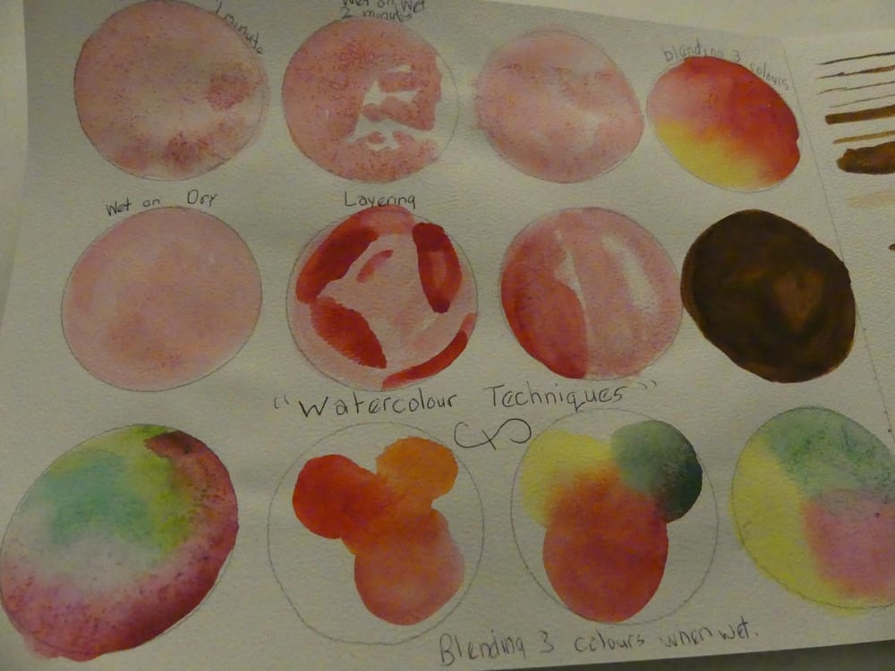 Expressive Watercolour Flowers: Explore Botanical Brushstrokes and Floral Composition - image 9 - student project