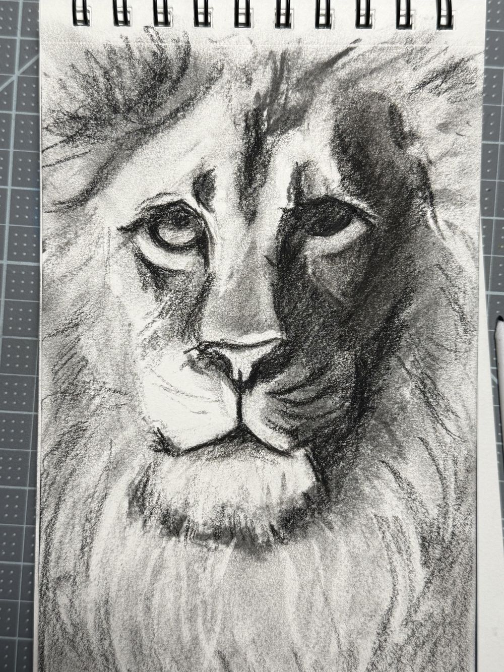 Learning to use charcoal - image 3 - student project