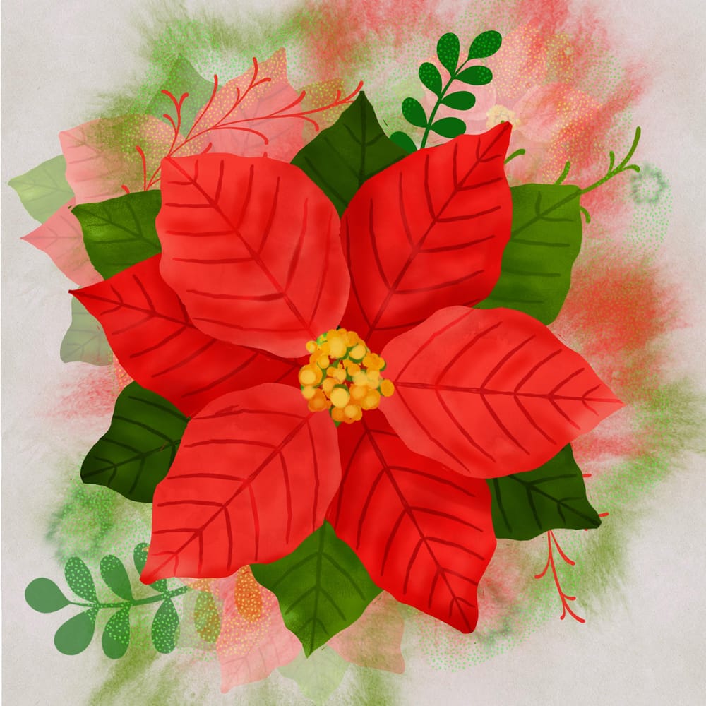 Poinsettia - image 2 - student project