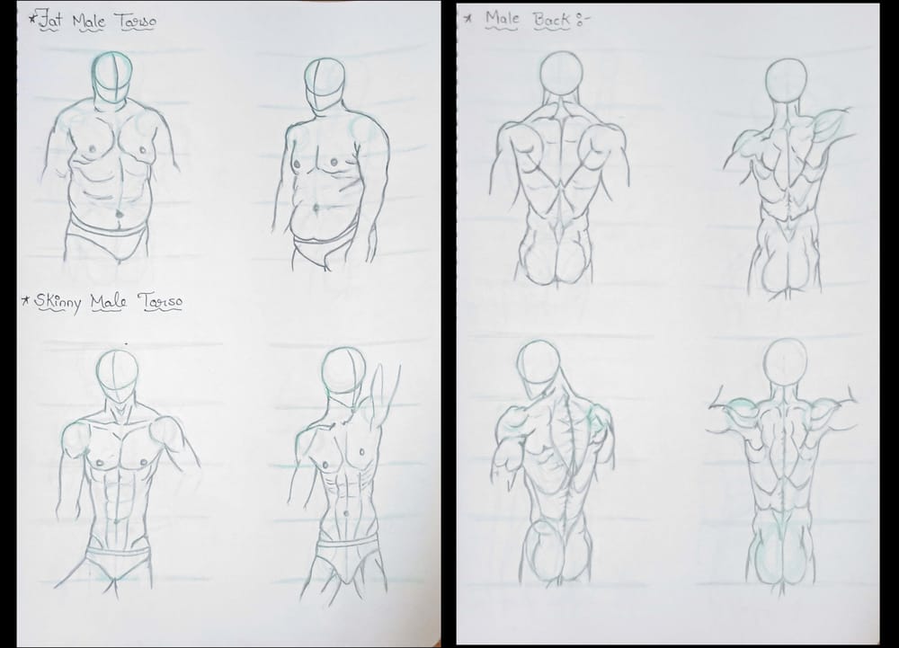 human anatomy - image 5 - student project