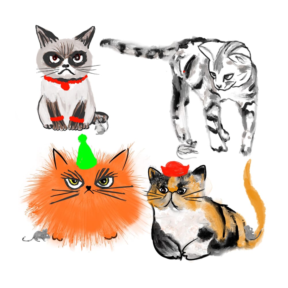 Xmas cats with a little delay! - image 5 - student project