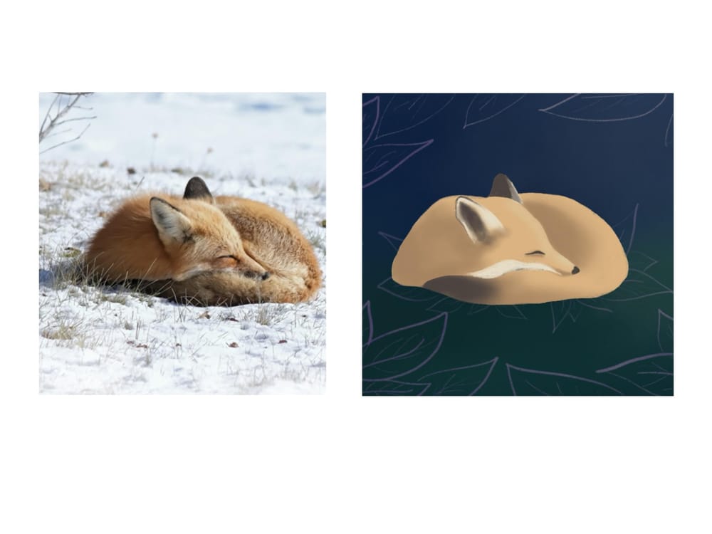 Illustrating animals - image 1 - student project