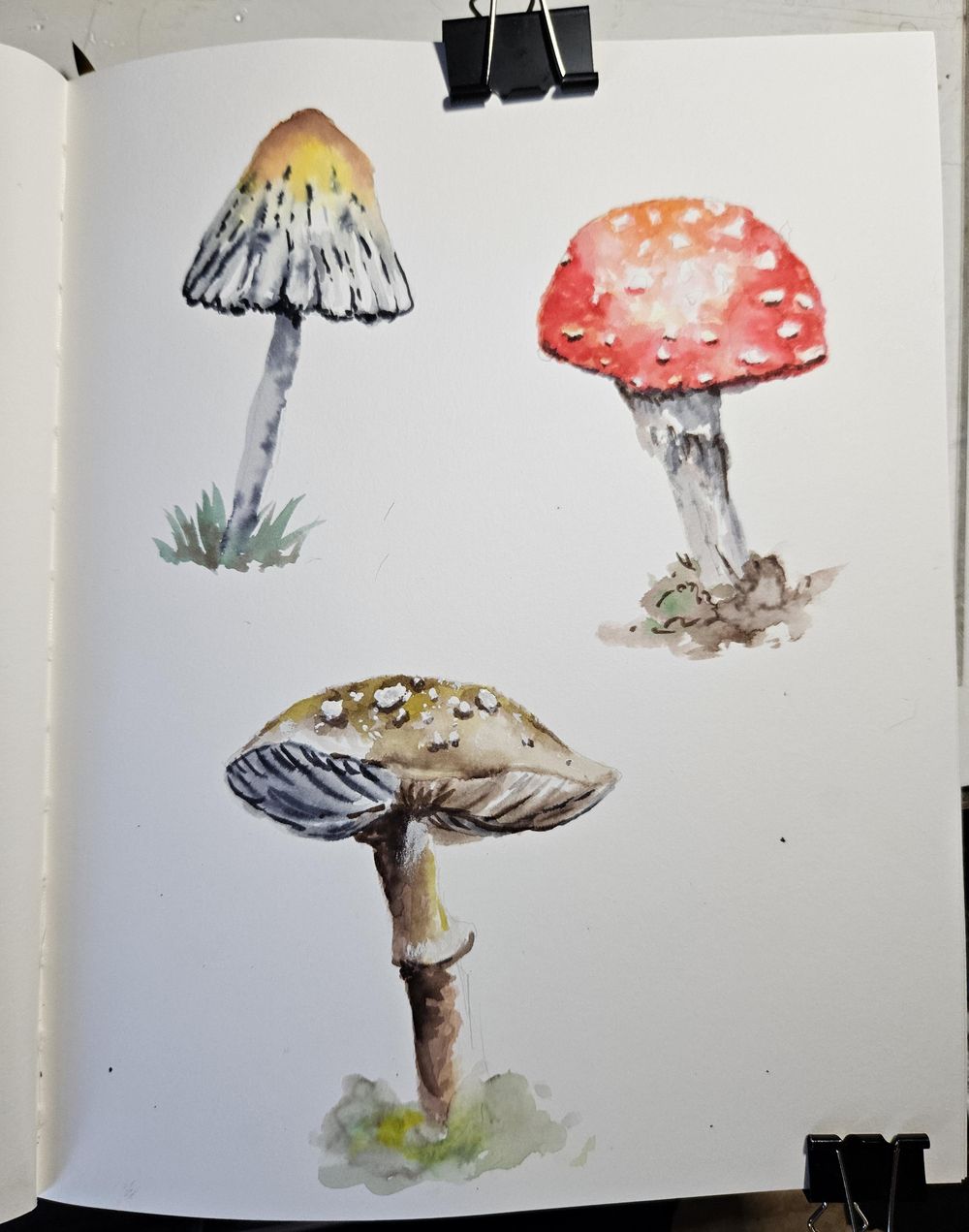 Mushrooms with markers - image 2 - student project