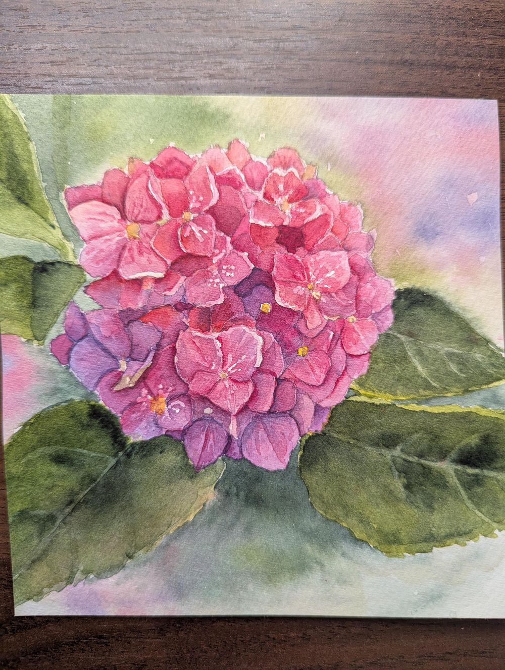 Purple Hydrangeas - image 1 - student project