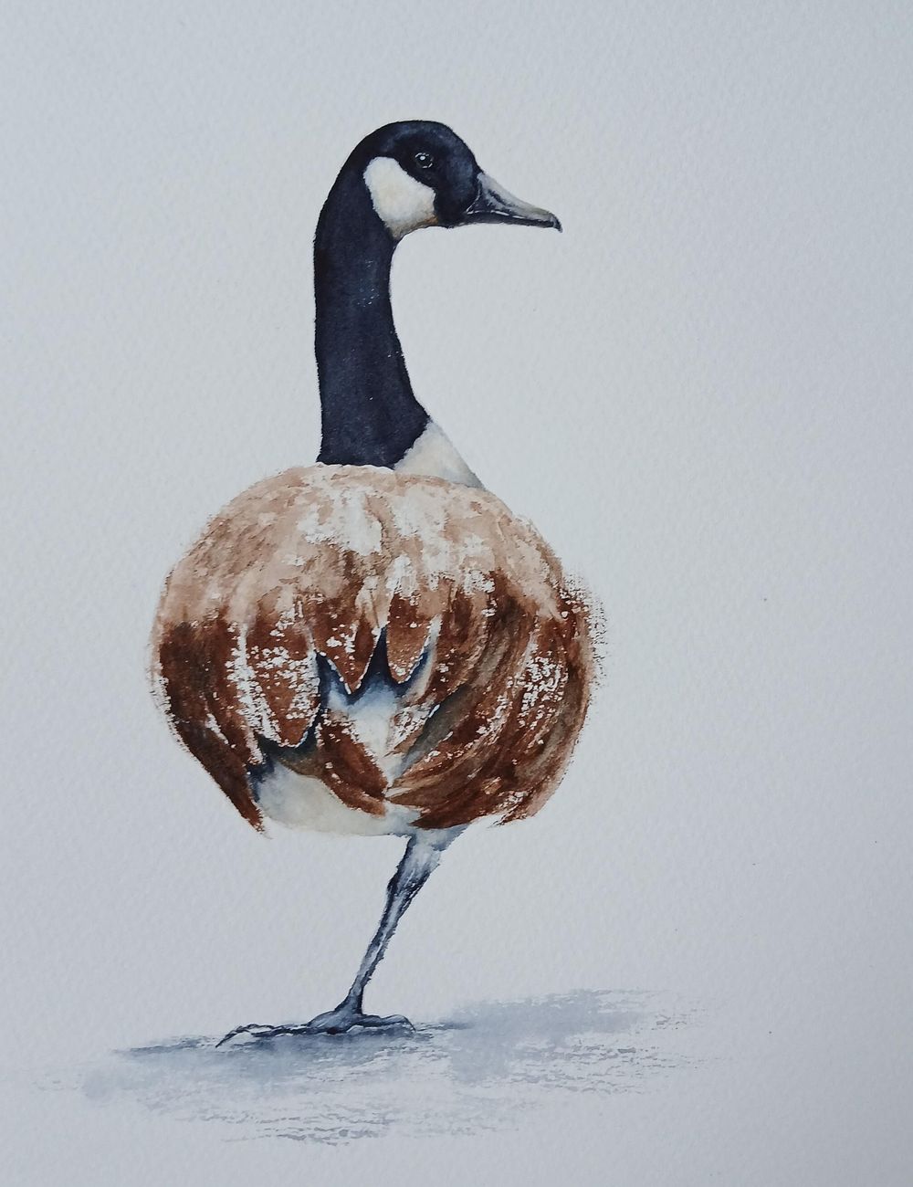 Canada Goose  Shirley Bell - image 1 - student project