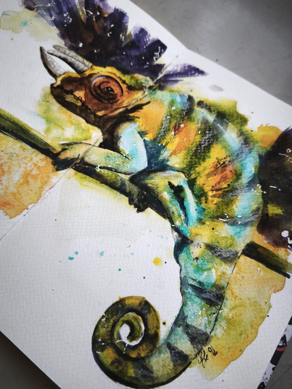Rainbow Chameleon - image 3 - student project