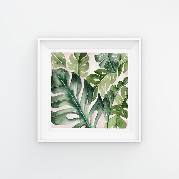 Monstera Project - image 1 - student project