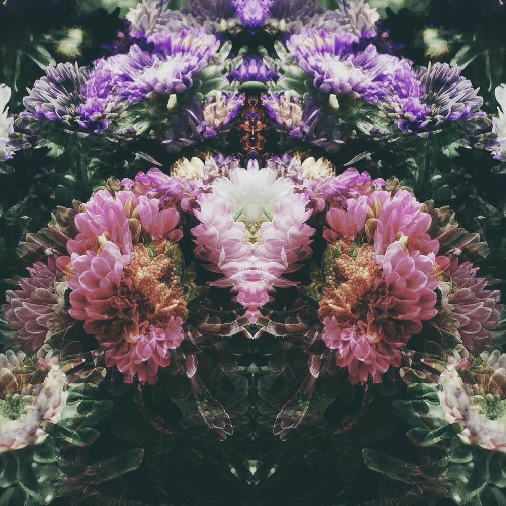 Flower Power - image 1 - student project