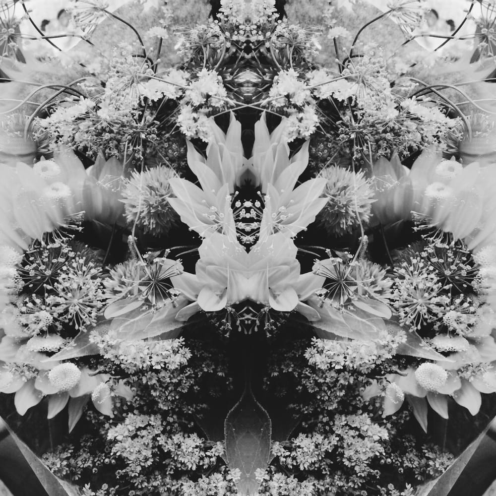 Flower Power - image 5 - student project