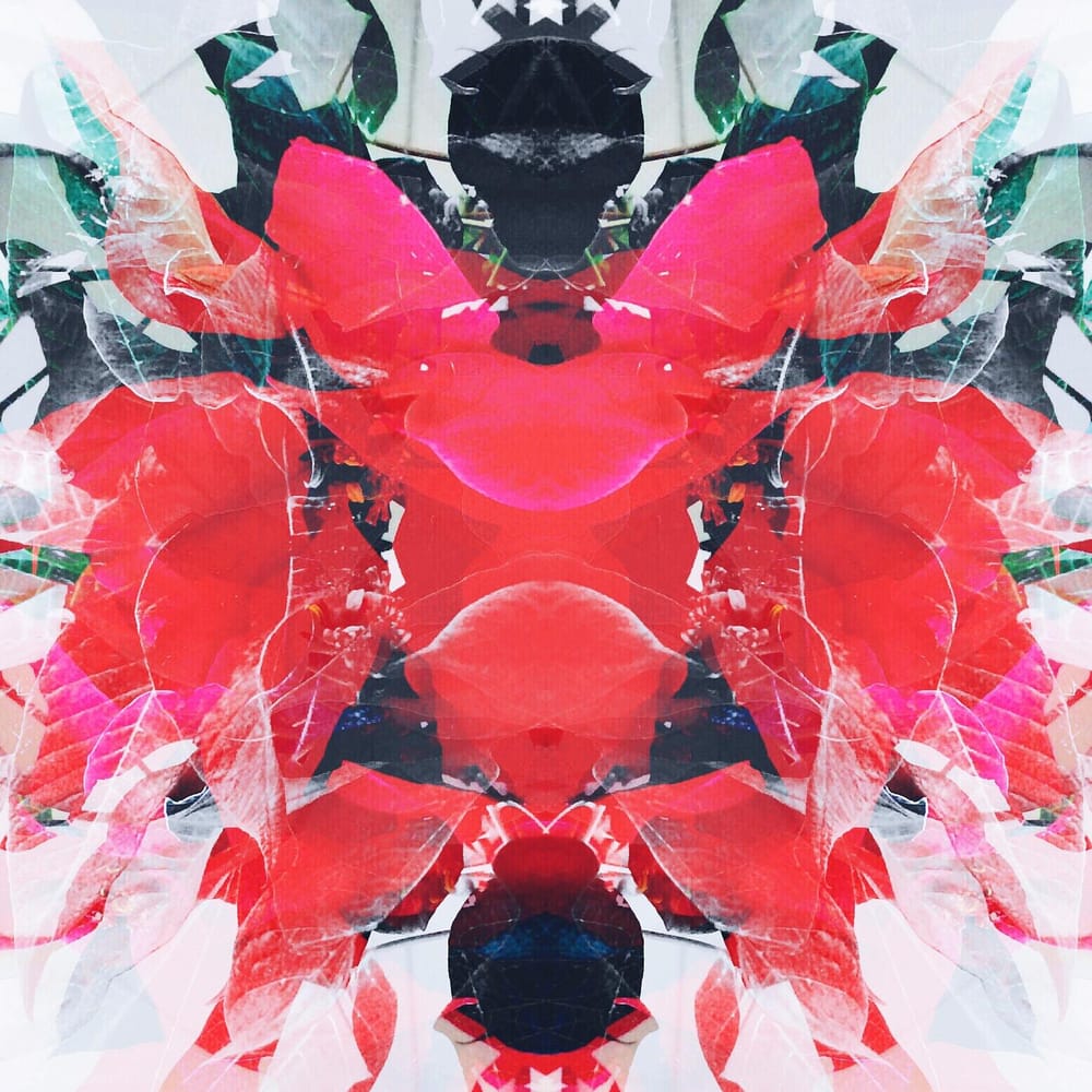 Flower Power - image 3 - student project