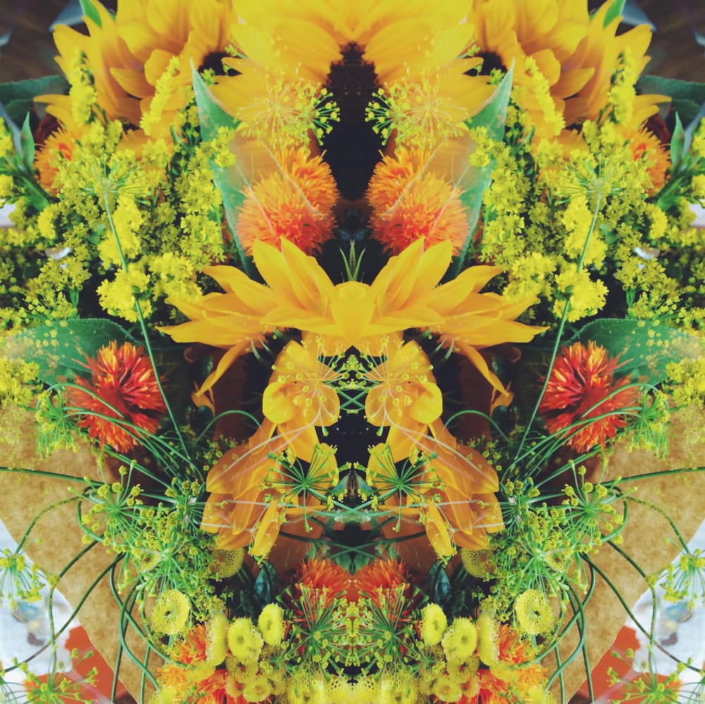 Flower Power - image 4 - student project