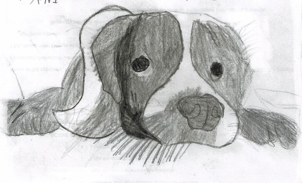Our drawings - image 1 - student project