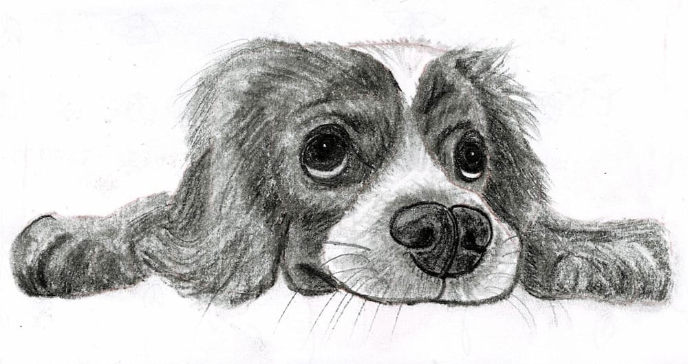 Our drawings - image 2 - student project