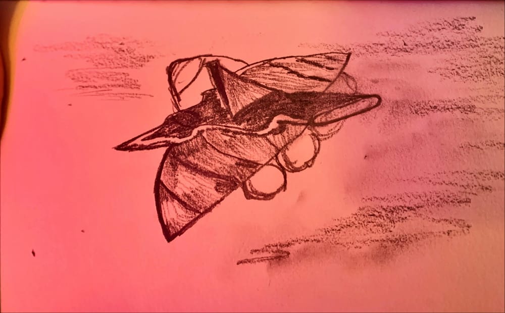 Fourteen Days - image 1 - student project