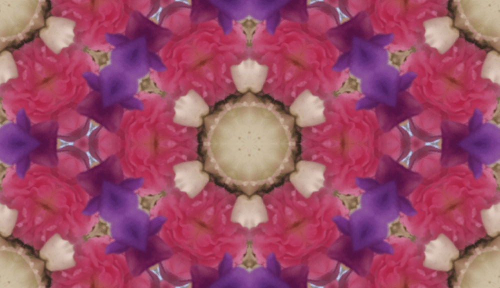 Roses and Sweet Peas - image 1 - student project