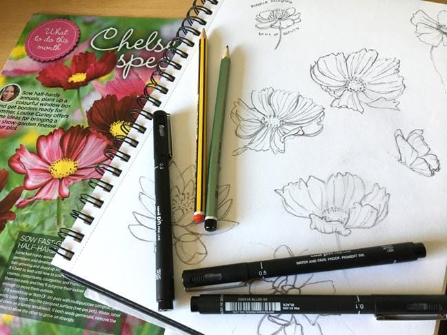Cosmos Flowers - image 1 - student project