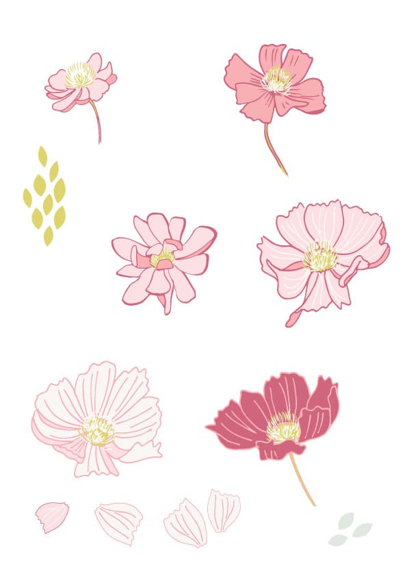 Cosmos Flowers - image 3 - student project