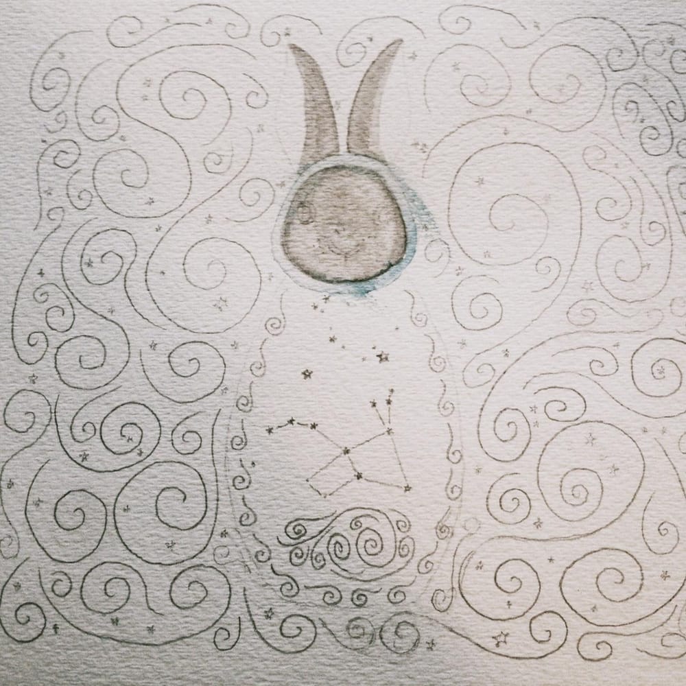 Nesting Bun - image 2 - student project