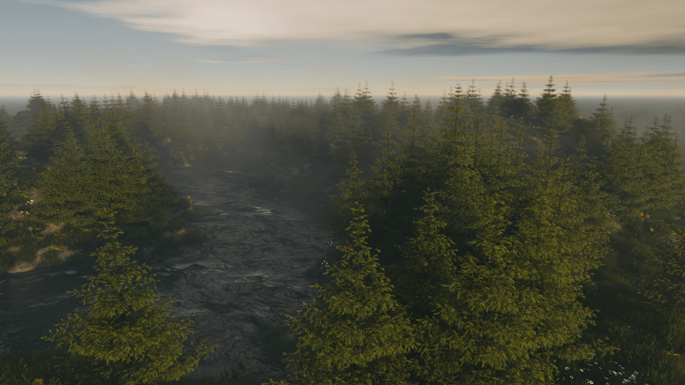 Misty Forest in the Morning - image 1 - student project