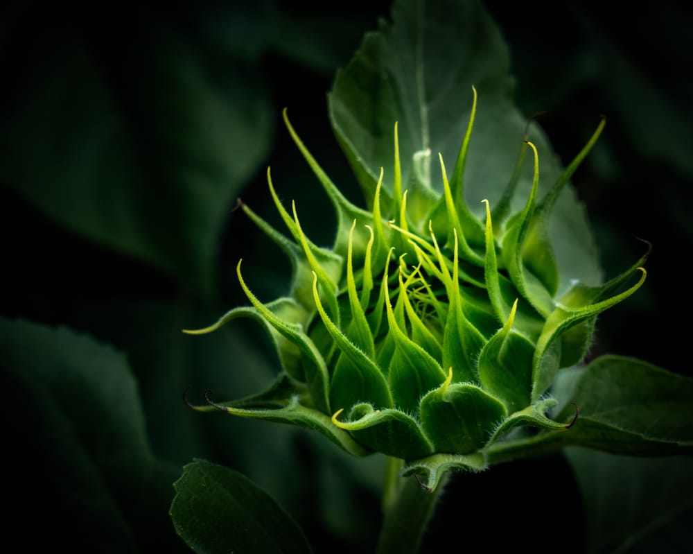 Composition - image 1 - student project