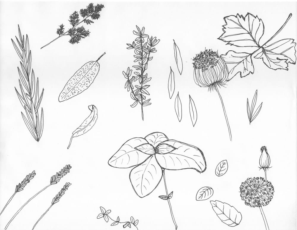 Initial Sketches - image 3 - student project
