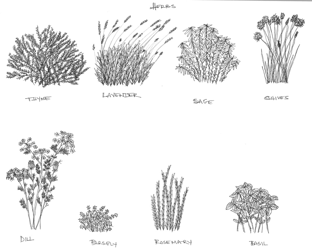 Initial Sketches - image 1 - student project