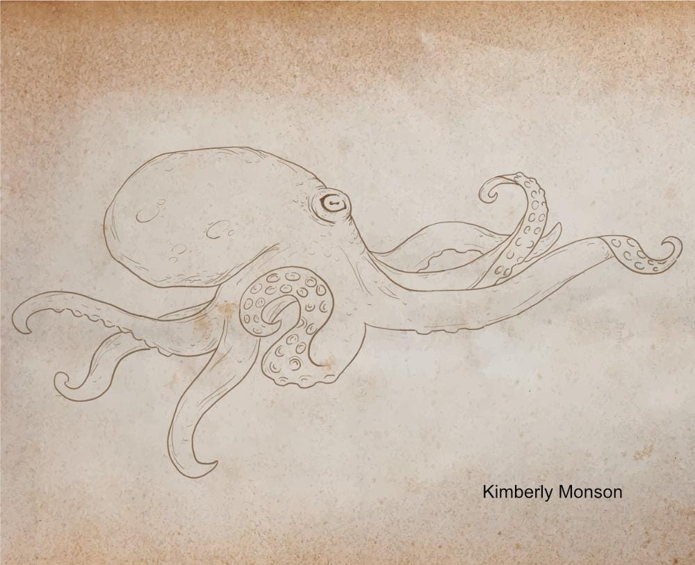 Octopus - image 1 - student project