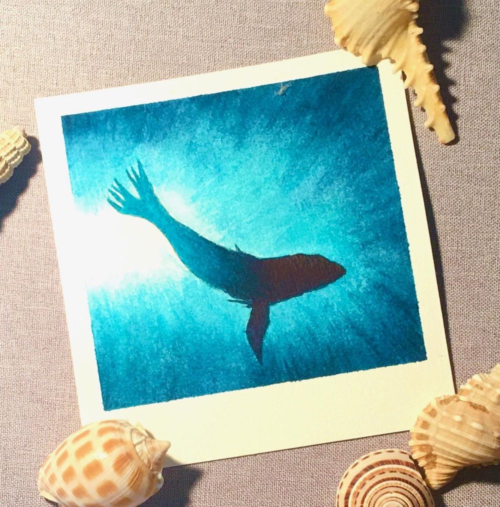 Beginners Guide to Reflect Inner Self - a Polaroid series - image 2 - student project