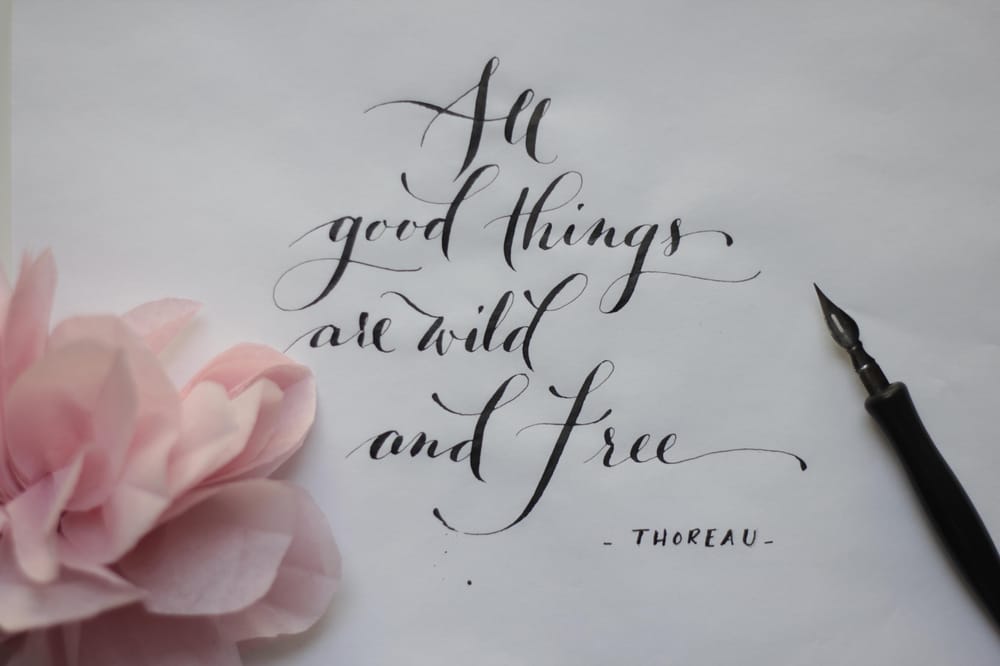 All good things... - image 3 - student project