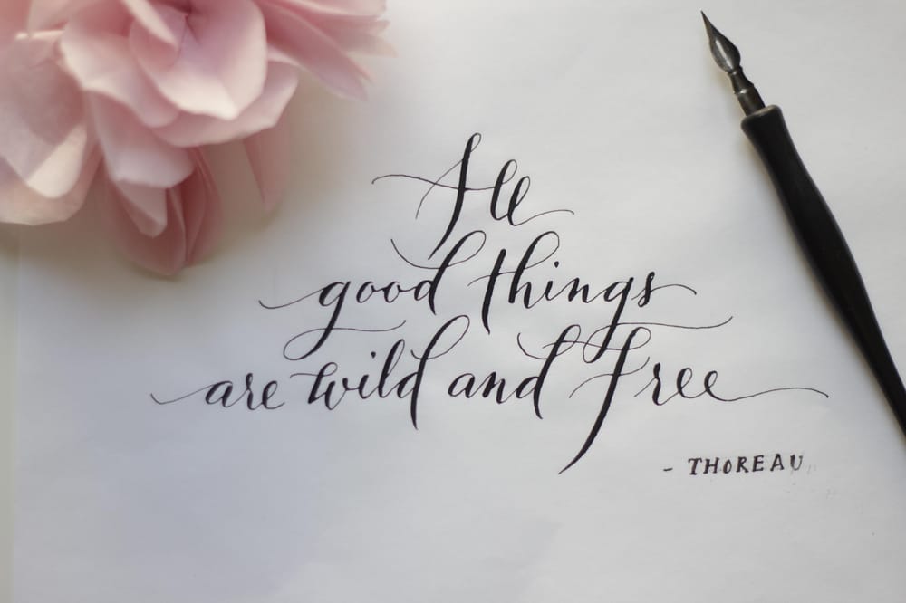 All good things... - image 4 - student project