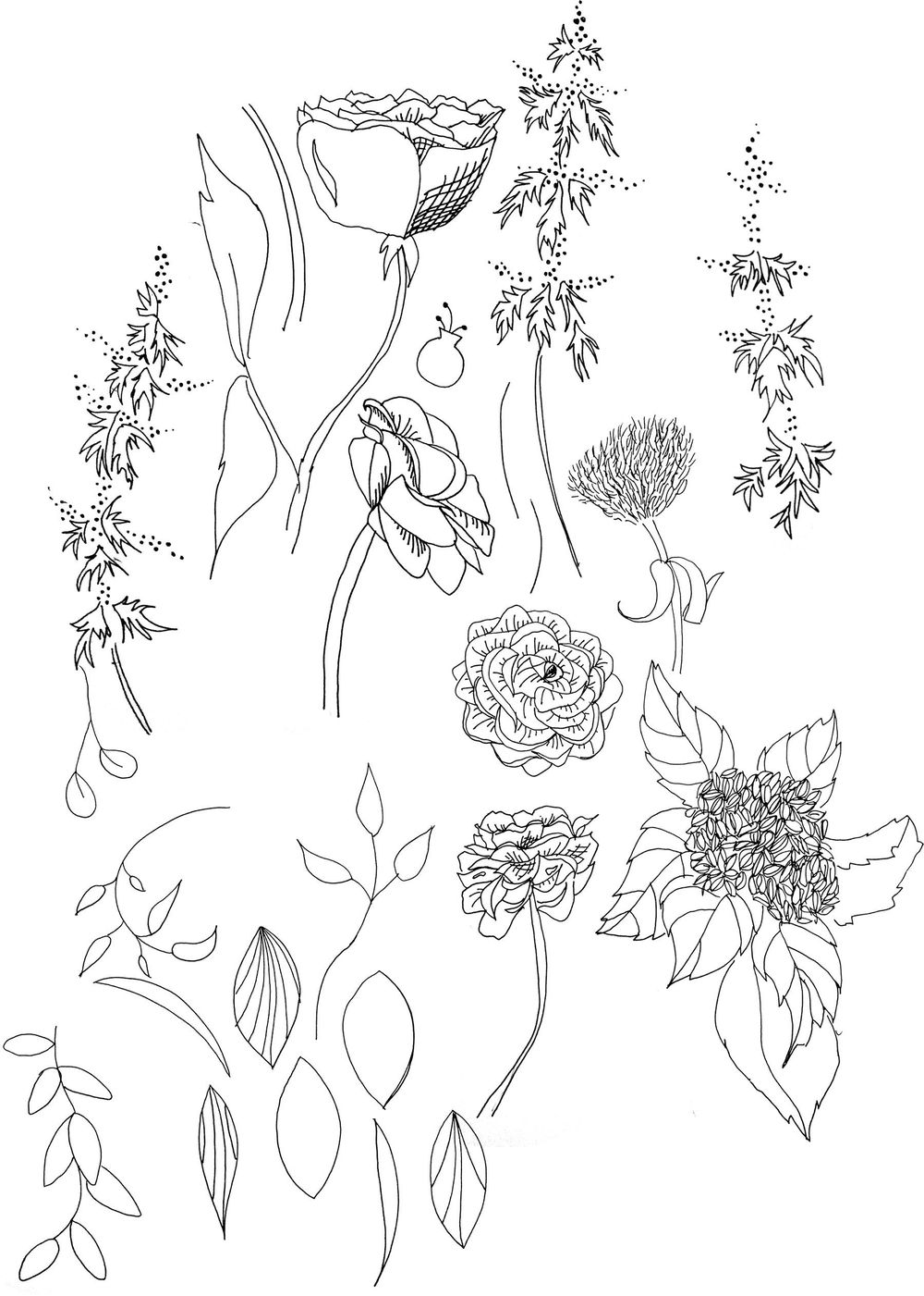Dramatic Hydrangea and Ranunculus - image 3 - student project