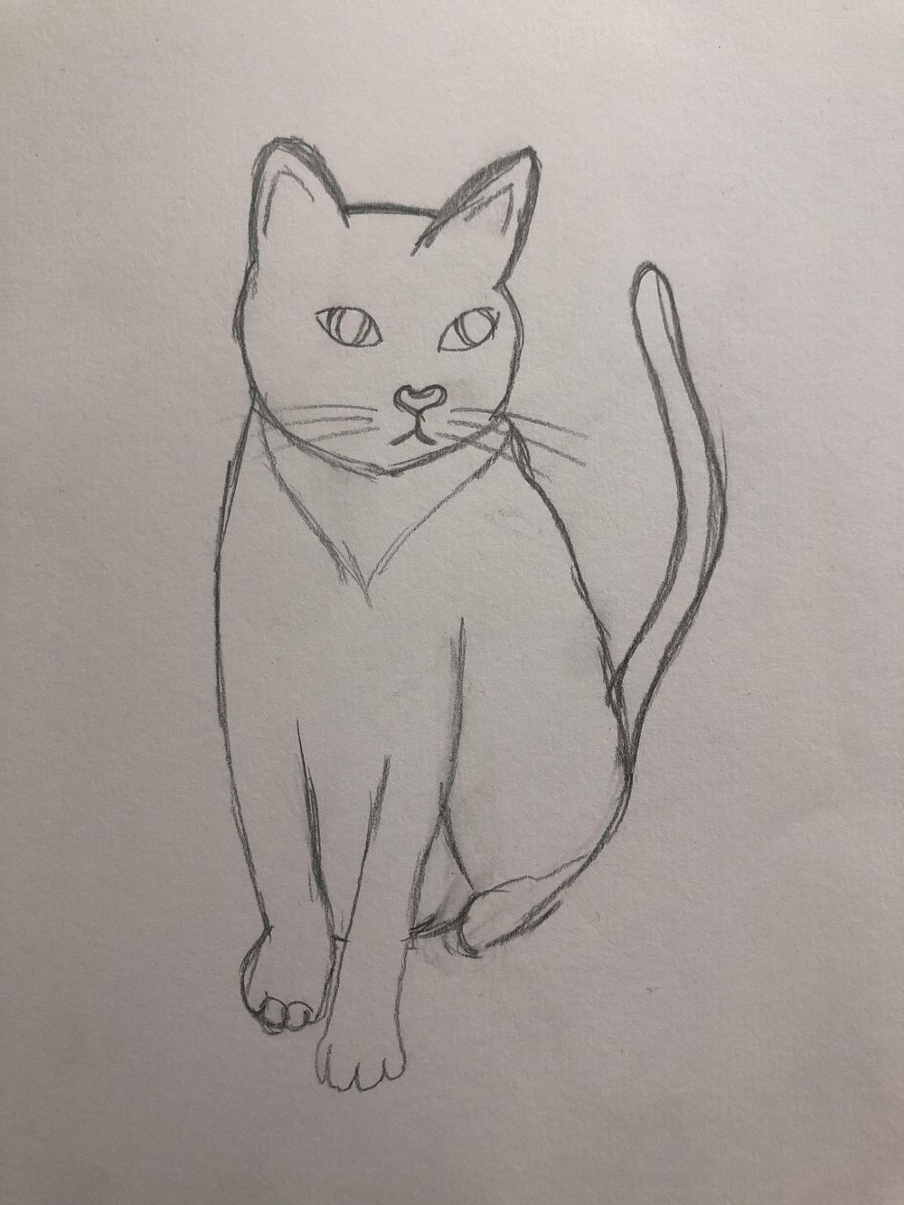 My cat Nina - image 2 - student project
