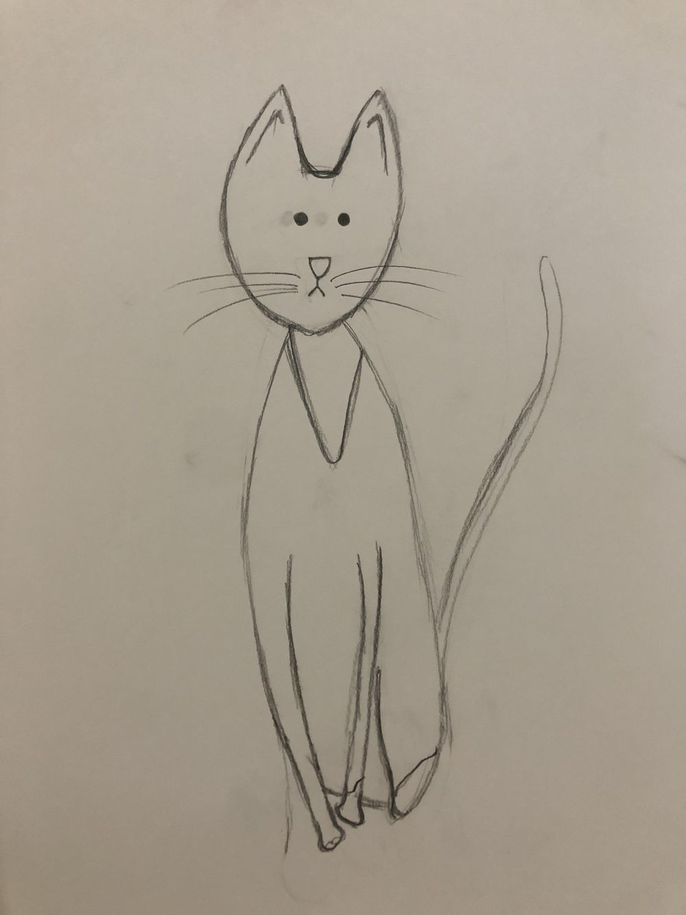 My cat Nina - image 3 - student project
