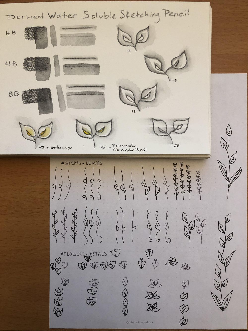 One-Line Calla Lilies & Sunflowers - image 1 - student project