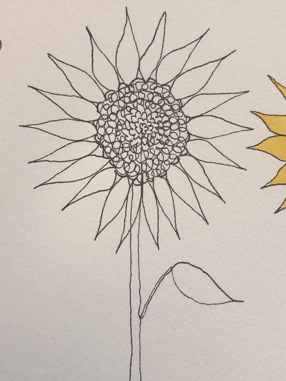 One-Line Calla Lilies & Sunflowers - image 5 - student project