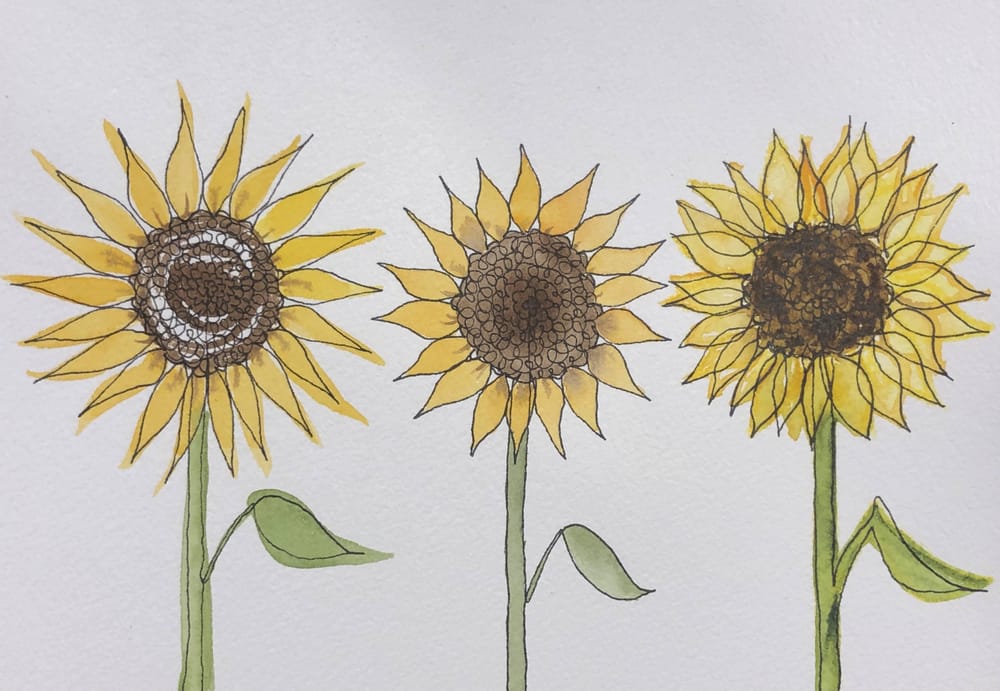 One-Line Calla Lilies & Sunflowers - image 3 - student project