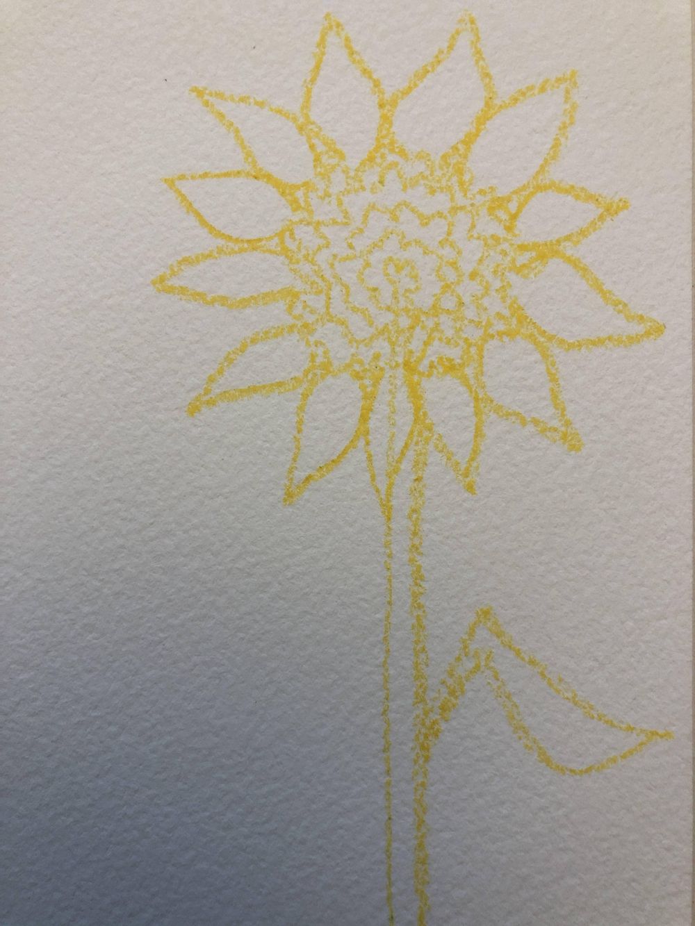 One-Line Calla Lilies & Sunflowers - image 4 - student project
