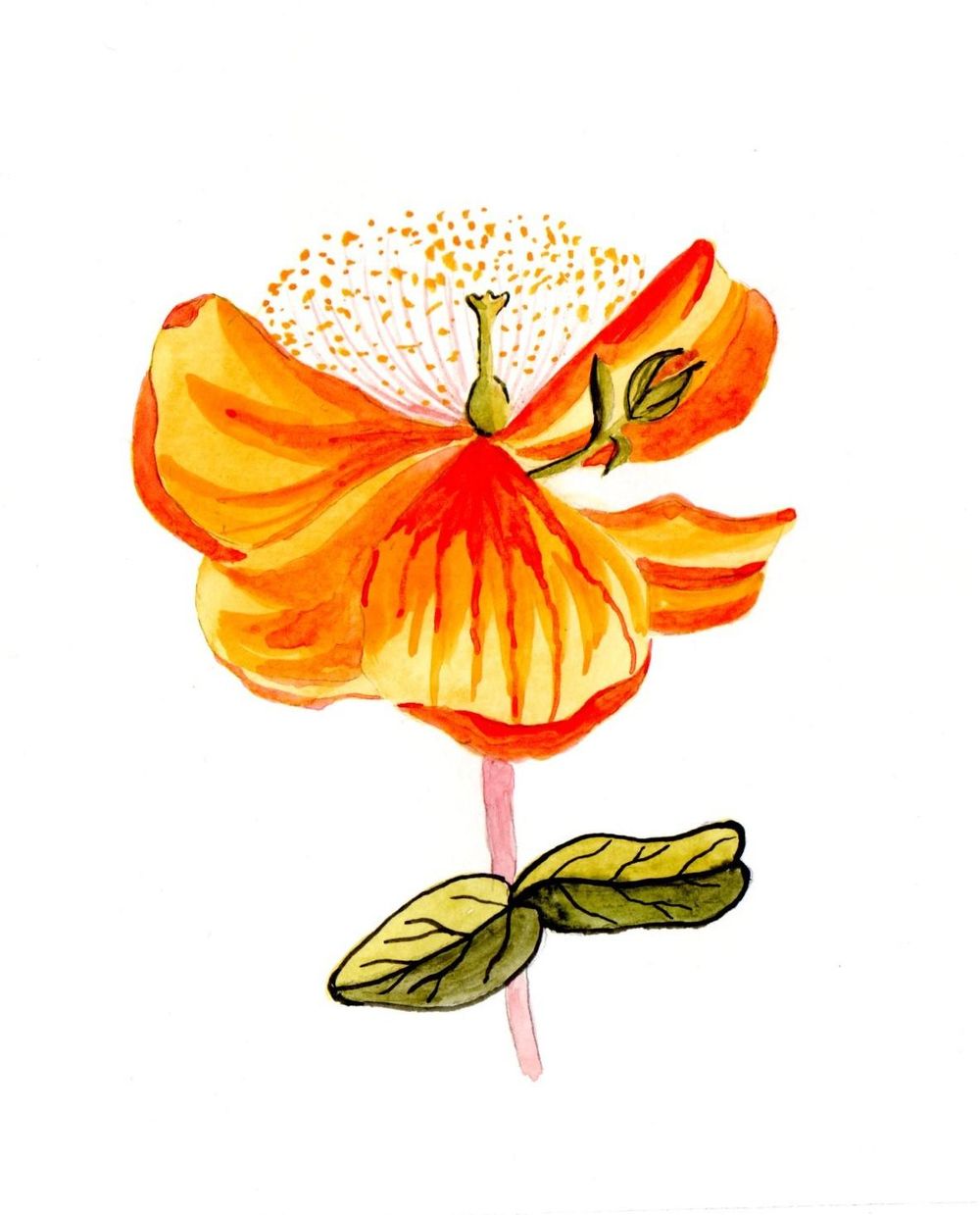 Blumen A-Z - image 14 - student project